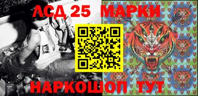 стаф Будённовск