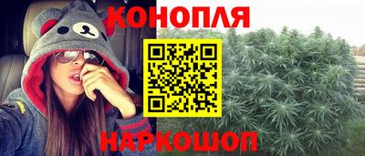 стаф Будённовск