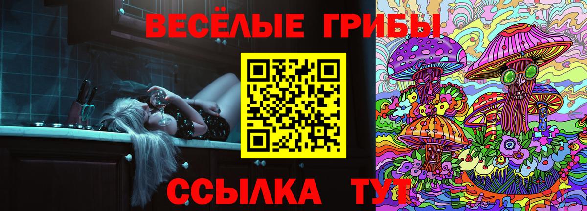 Псилоцибиновые грибы Psilocybe  Вход с VPN  Искитим 